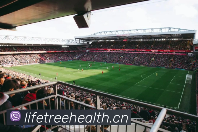 开云官网发展历程